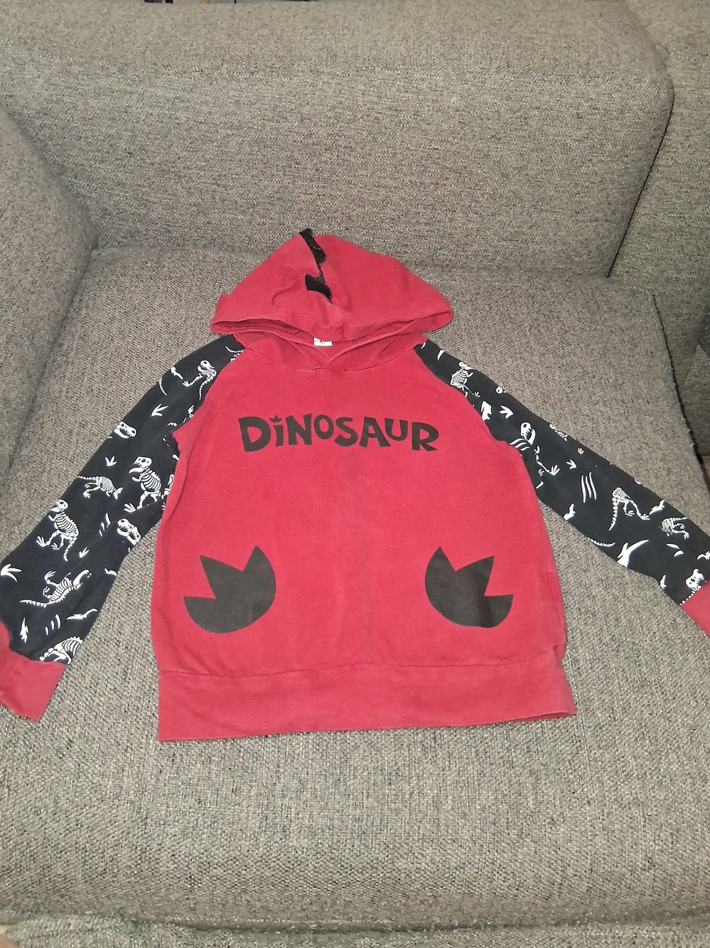 Boys Size 100 Red Dinosaur Hoodie